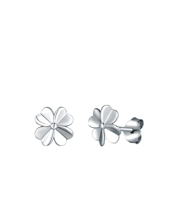 Earrings Amuse Silver