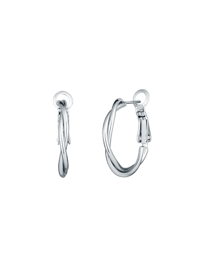 Earrings Aster Silver