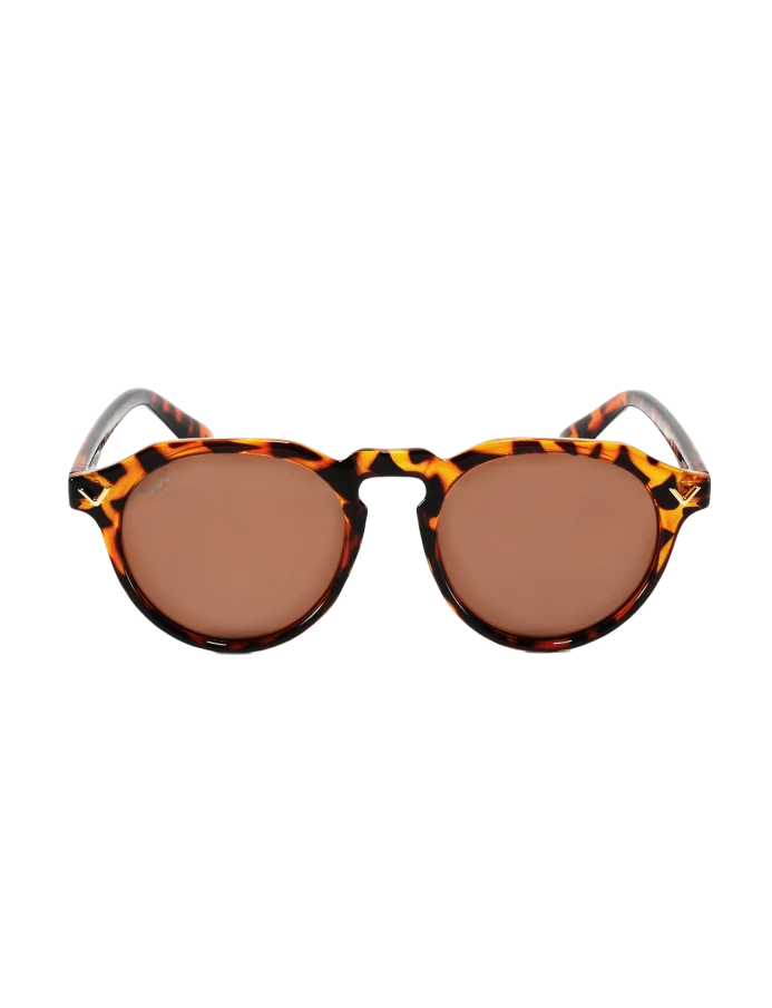 Mitzi V Design Brown