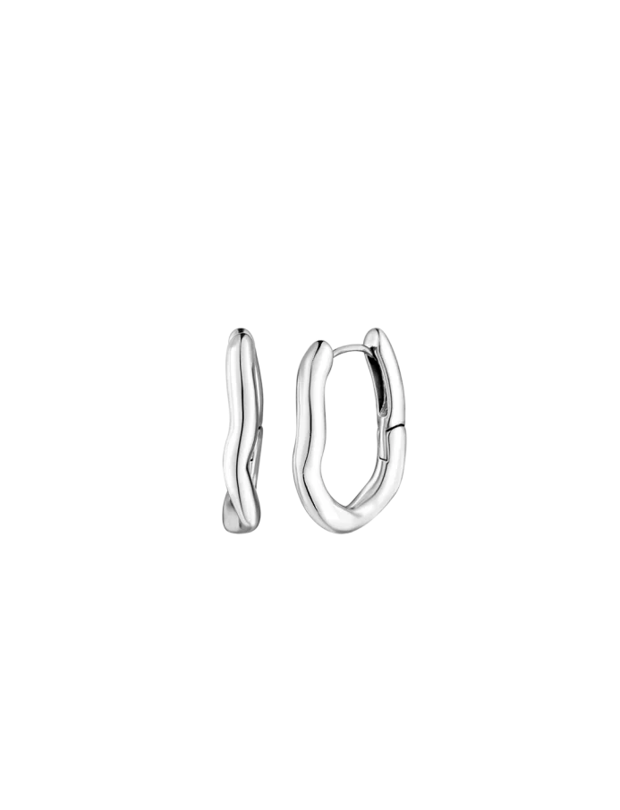 Earrings Lauvien Silver