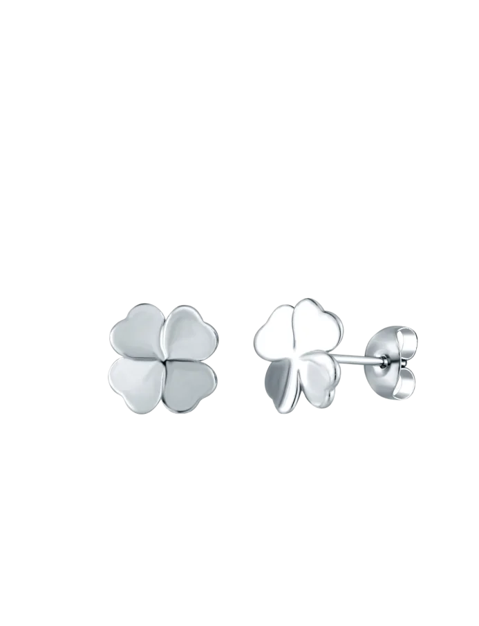 Earrings Fouria Silver