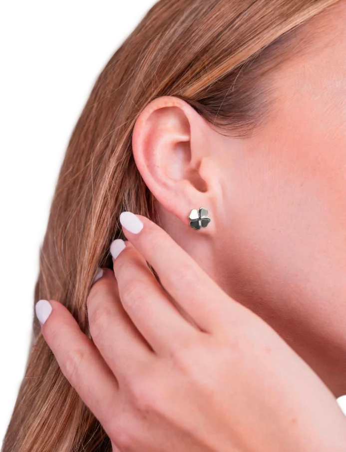 Earrings Fouria Silver