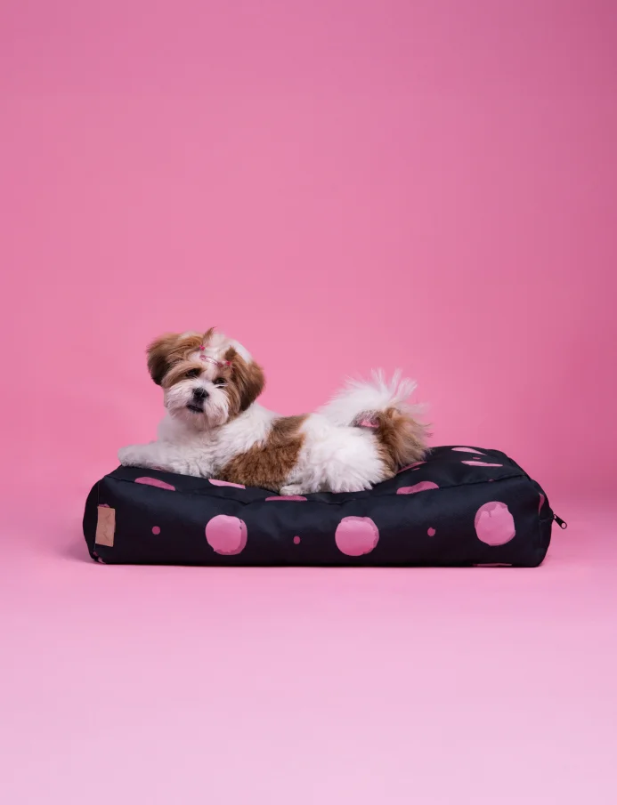 Buddys Dotty Black