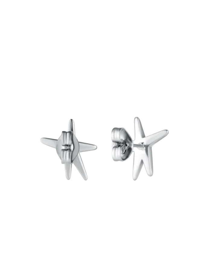 Earrings Nyxa Silver