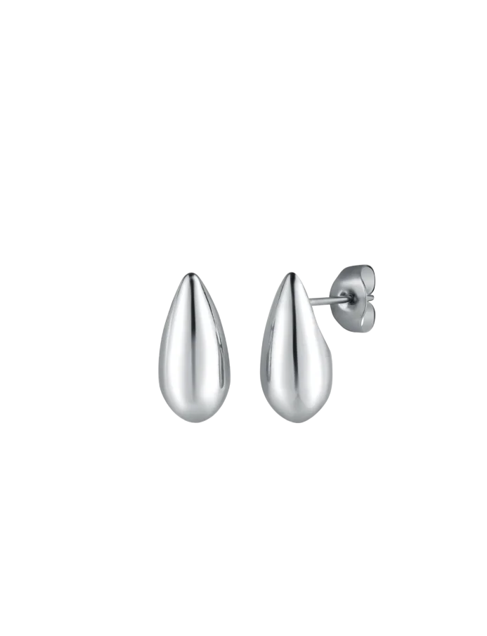 Earrings Lurea Silver