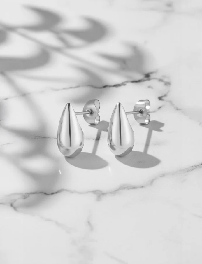 Earrings Lurea Silver