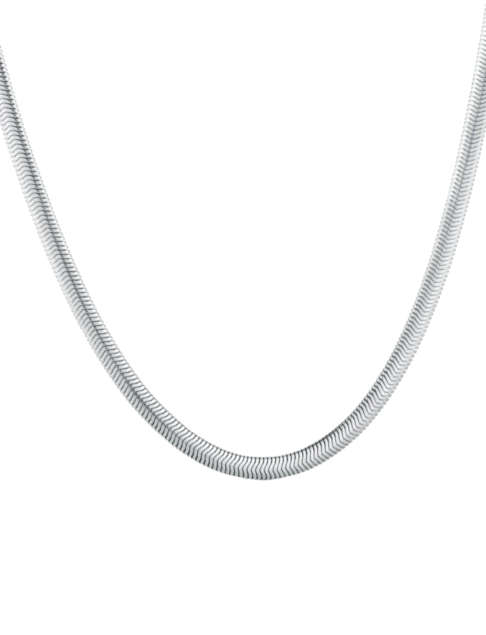 Necklace Evoa Silver