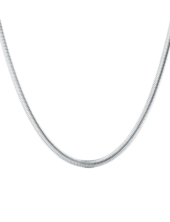 Necklace Evoa Silver