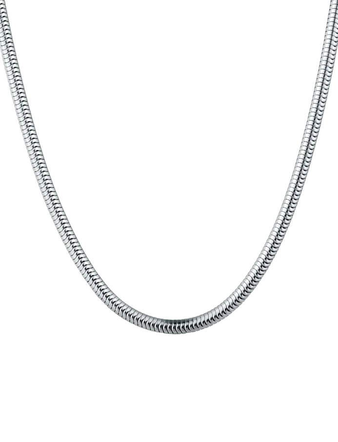 Necklace Olen Silver