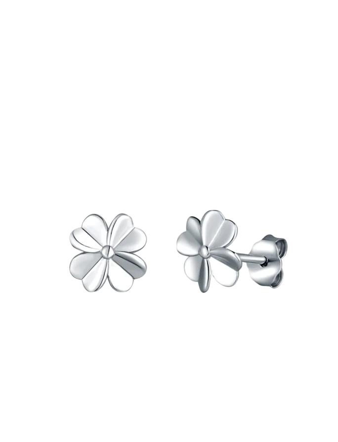 Earrings Amuse Silver