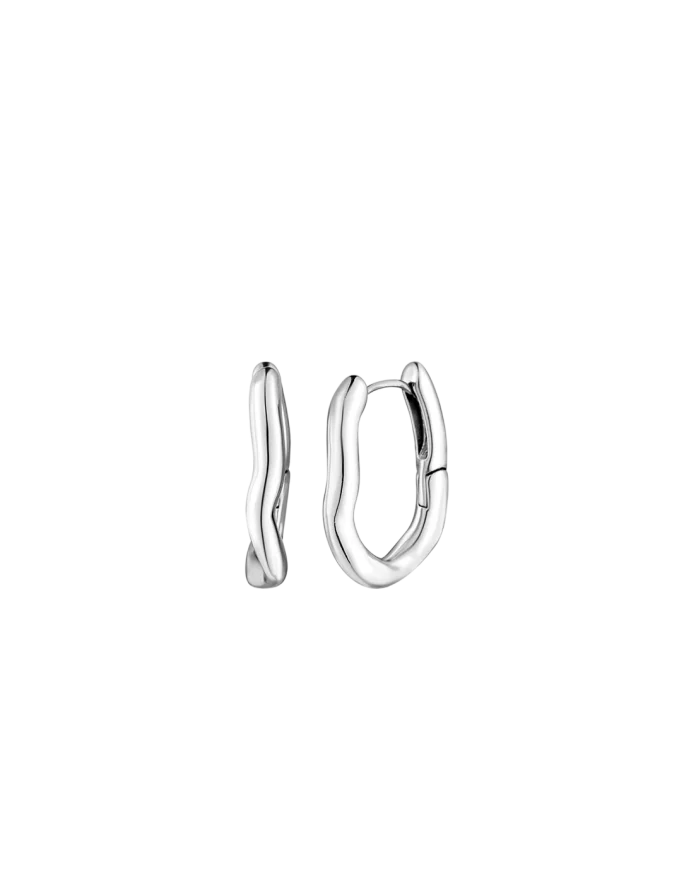 Earrings Lauvien Silver