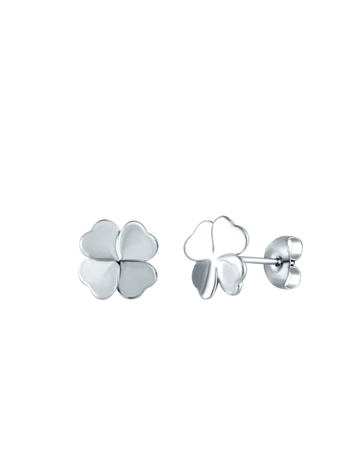 Earrings Fouria Silver