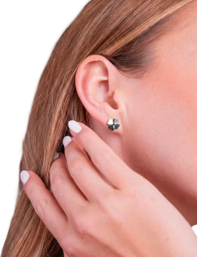 Earrings Fouria Silver