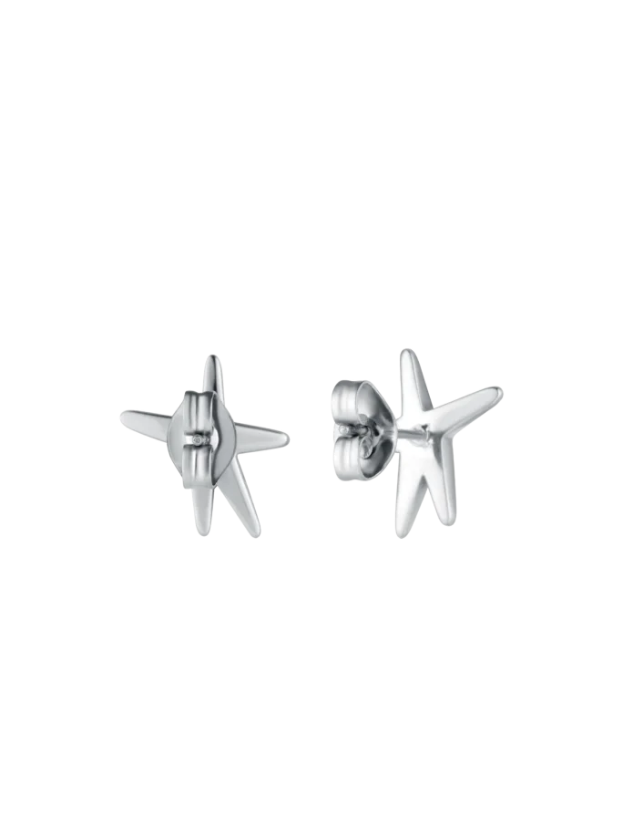 Earrings Nyxa Silver