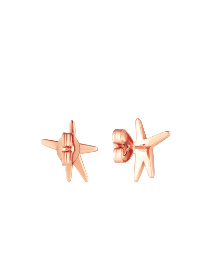 Earrings Nyxa Rose Gold