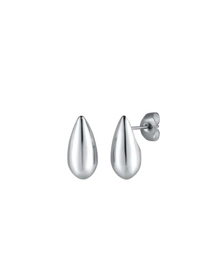 Earrings Lurea Silver