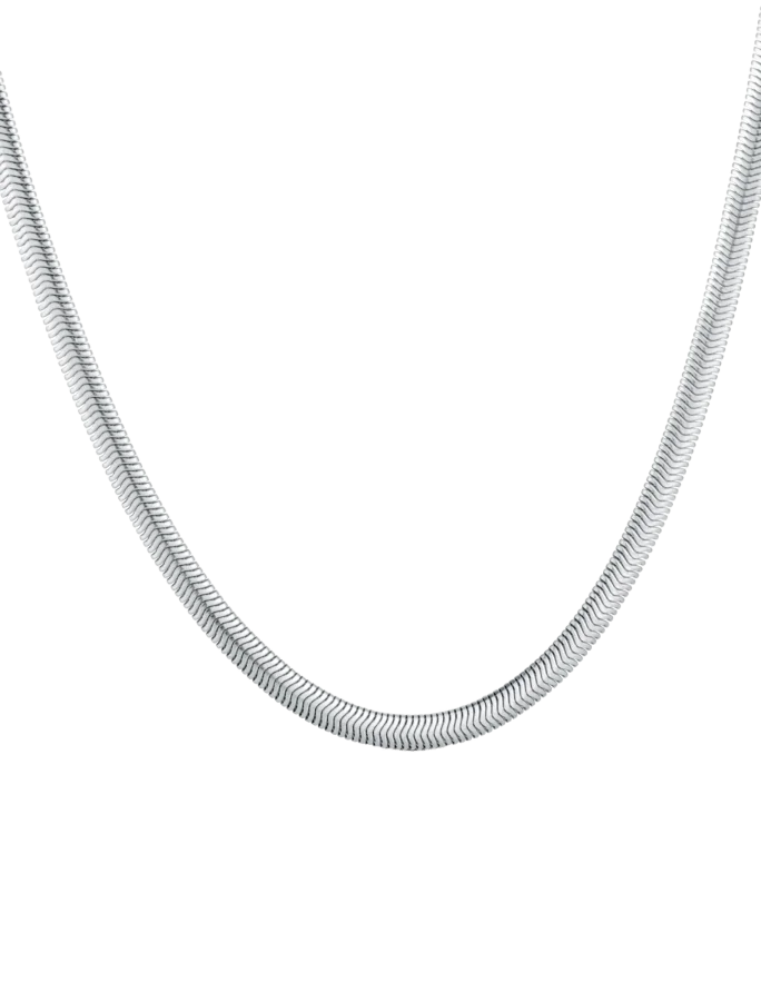 Necklace Evoa Silver