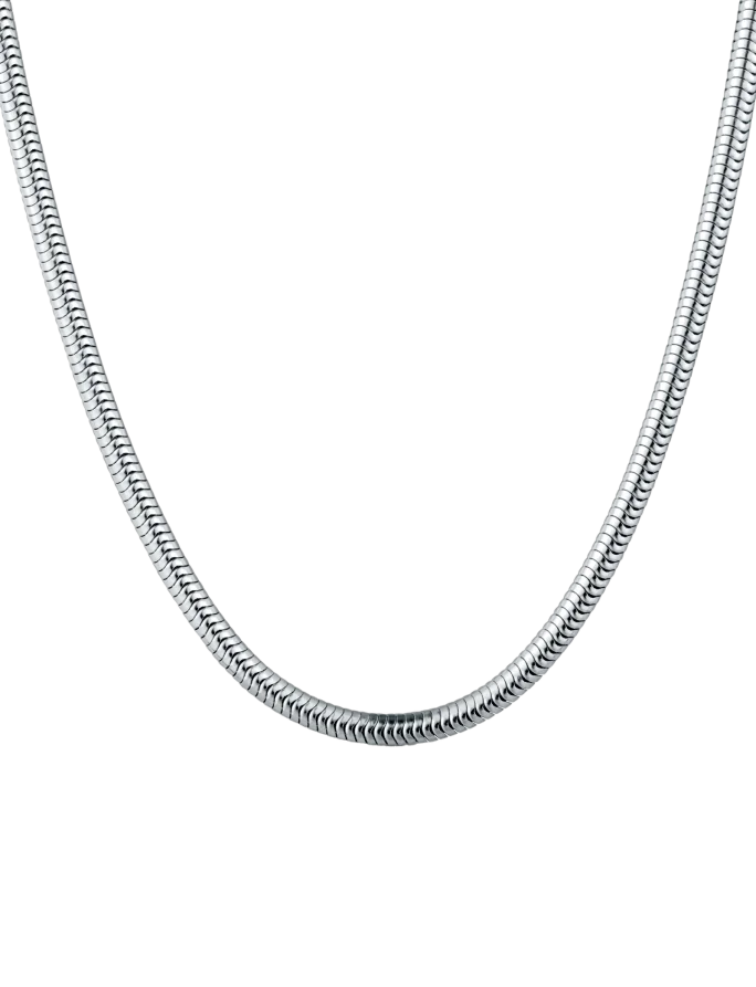 Necklace Olen Silver