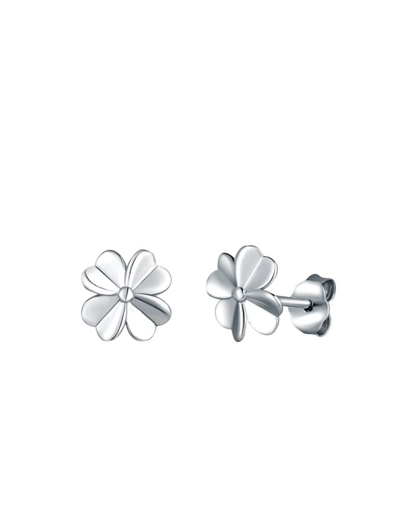 Earrings Amuse Silver