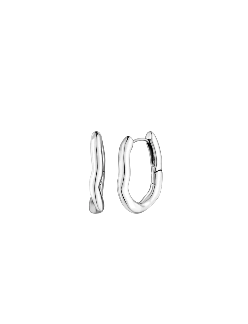 Earrings Lauvien Silver