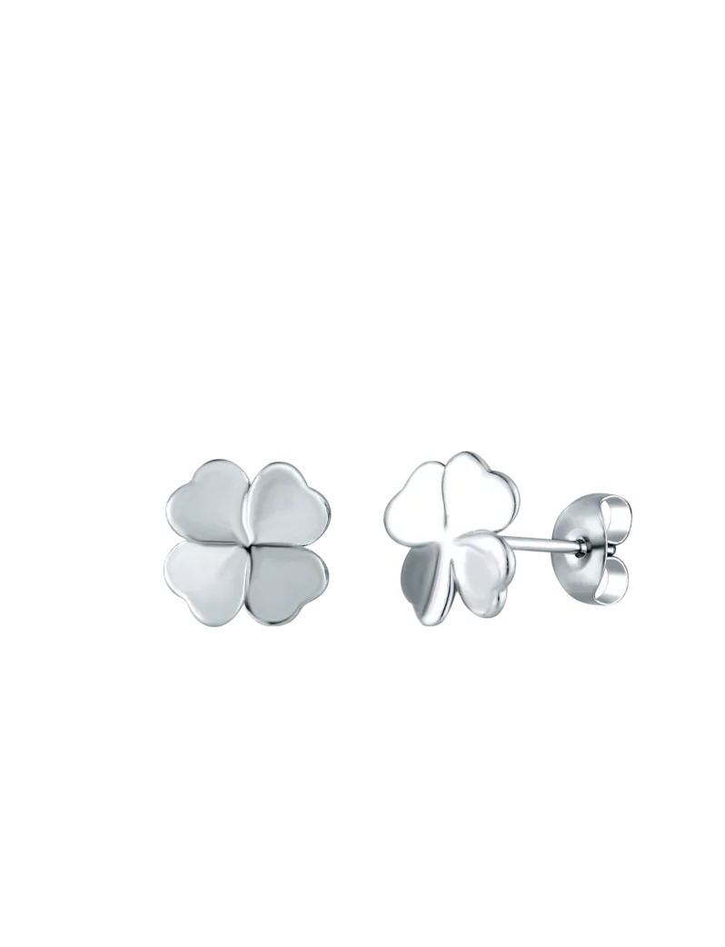 Earrings Fouria Silver