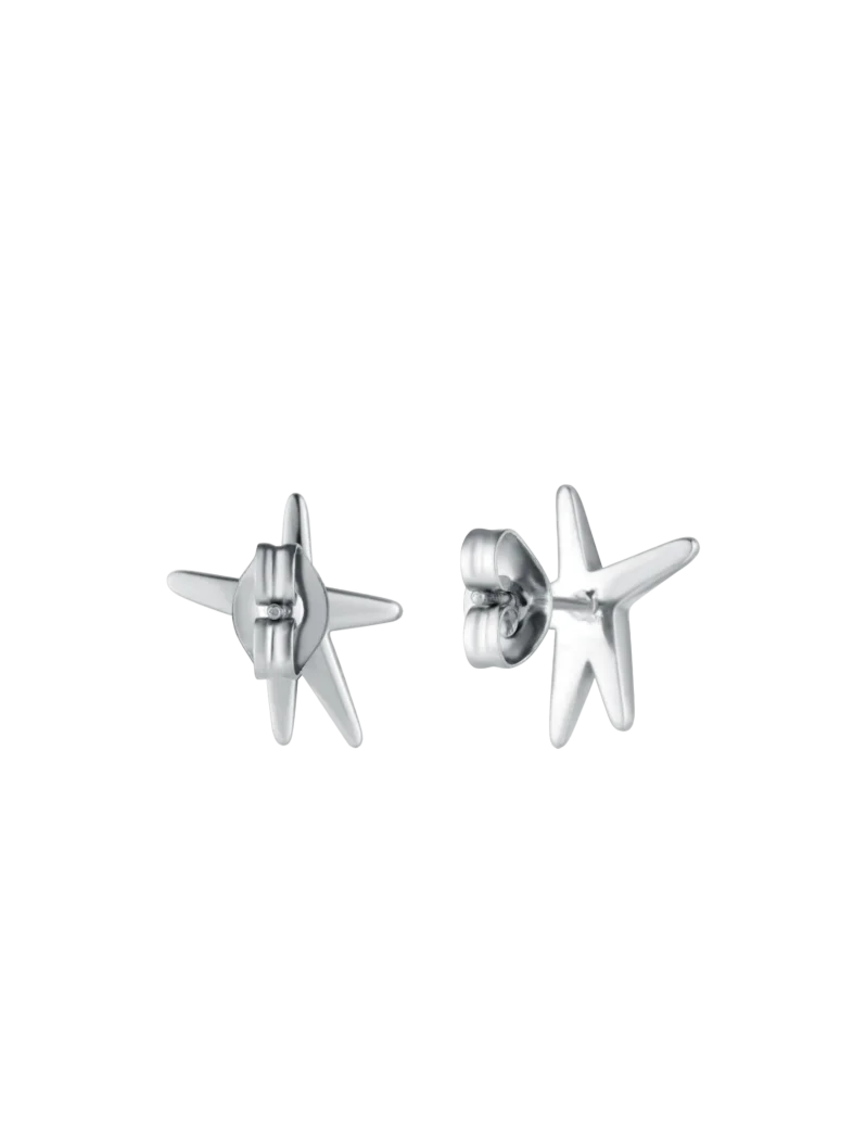 Earrings Nyxa Silver