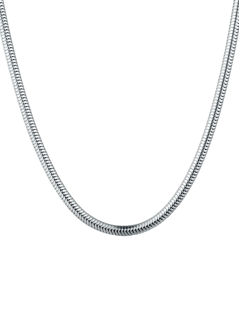 Necklace Olen Silver
