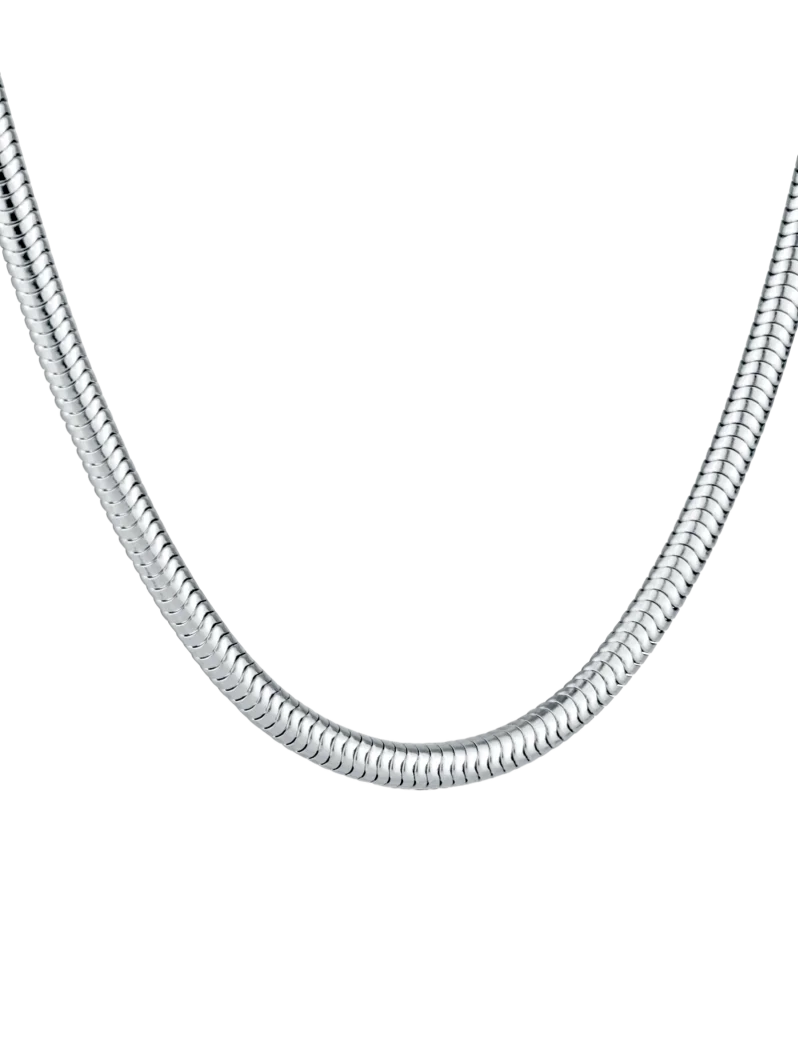 Necklace Olen Silver