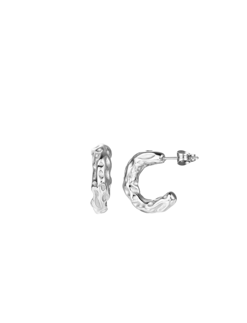 Earrings Lyrae Silver